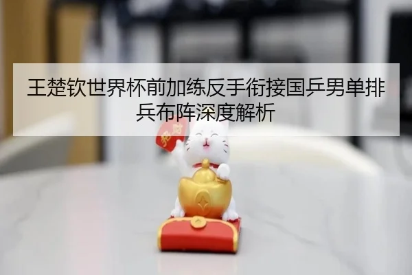 王楚钦世界杯前加练反手衔接国乒男单排兵布阵深度解析（kaiyun）